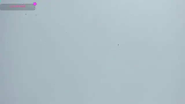 MissCurvyTop webcam