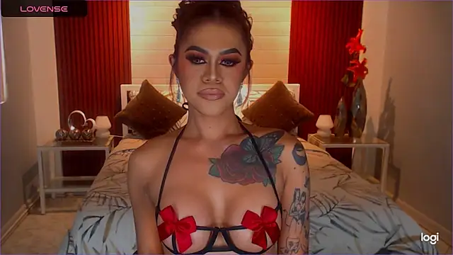 StellaStrong30 webcam