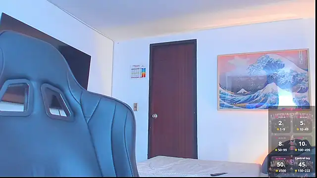 RJBarto webcam