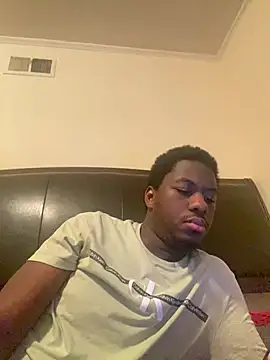 ThickDic28 webcam