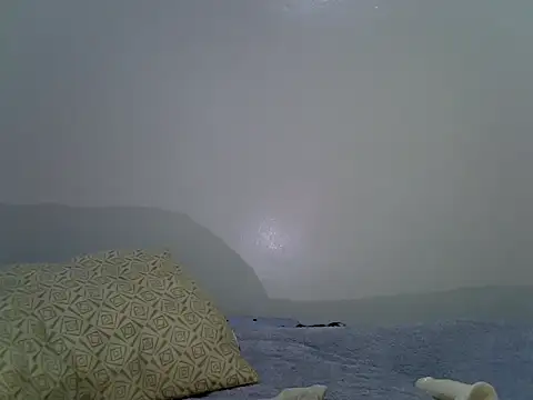 1ThirstyKitty webcam