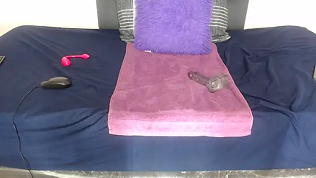 Ldidii webcam
