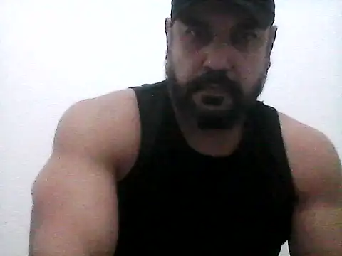 stallony webcam