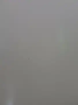 selenne_schmitt webcam