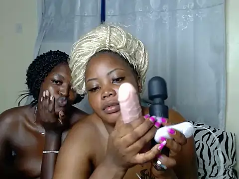 Petit_haris webcam