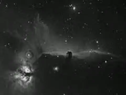 sinnei__ webcam