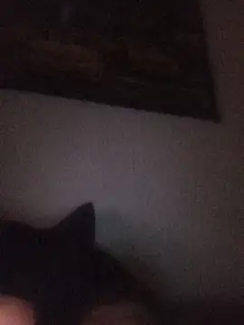 Samuel69l webcam