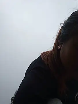 auro99 webcam