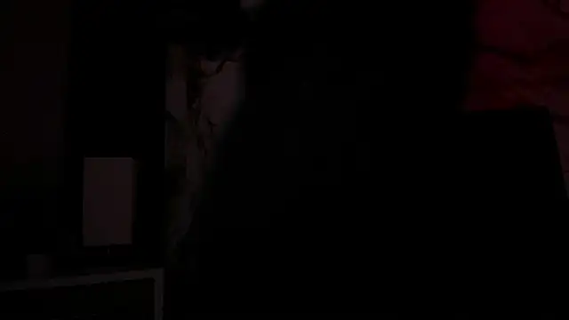 Lycan__ webcam