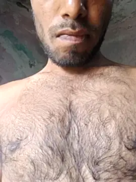 nilu_5633 webcam