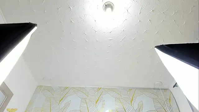 Alison_Chan_ webcam