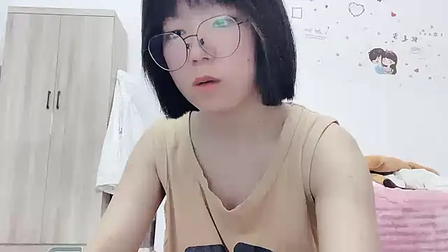Belle-LL webcam