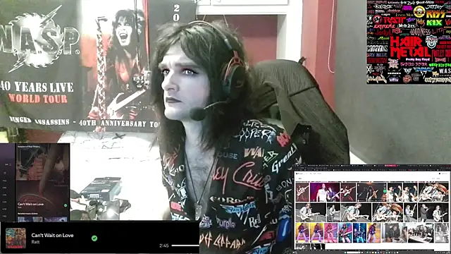 Rocker_Assassin_WASP_FAN webcam