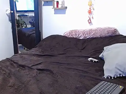 curvivan webcam