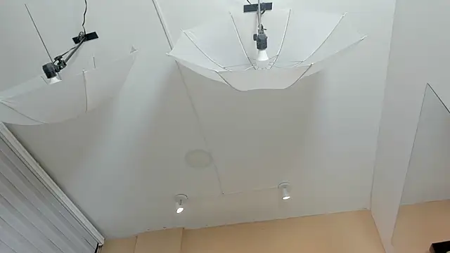 Taylor_Royal_ webcam