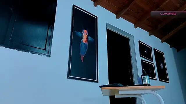 SilvaBranko webcam
