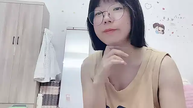 Belle-LL webcam