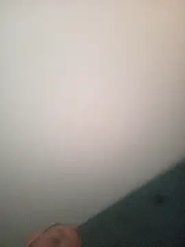 InferredPloce webcam