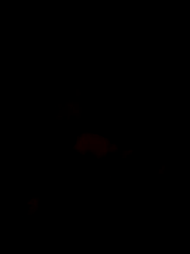 majorredeye40 webcam