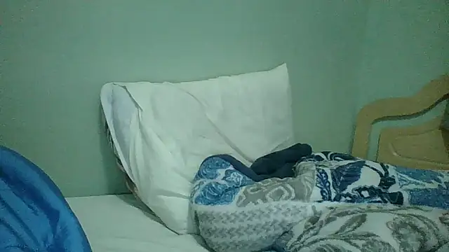 pretin19cm1 webcam