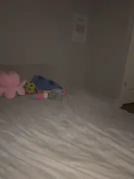elliepixie webcam