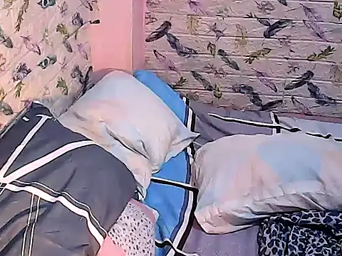 TsLibra webcam