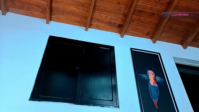 SilvaBranko webcam