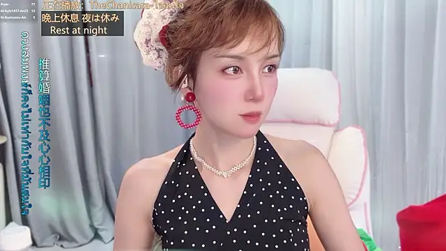 hi-AnAn webcam