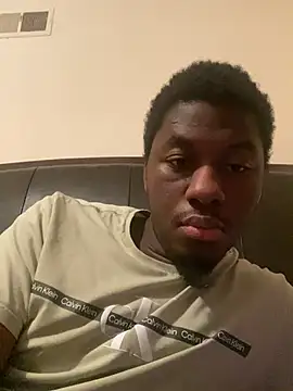 ThickDic28 webcam