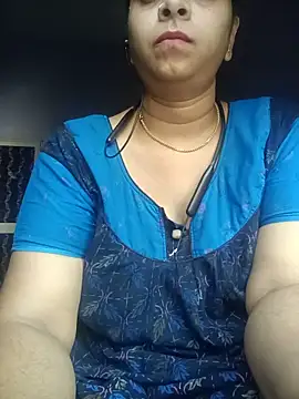 Hansikatelugu webcam