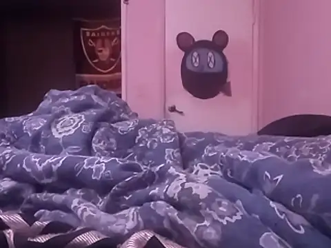 Blkstylion webcam