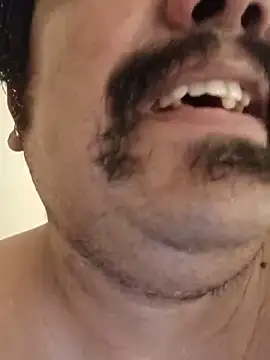 Brickstash webcam