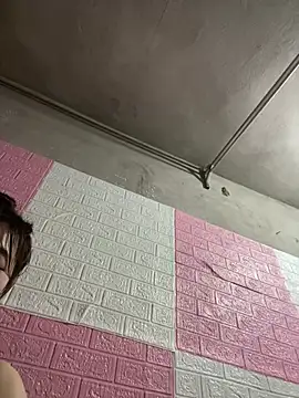 kyoto-to webcam