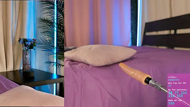 webpetite webcam