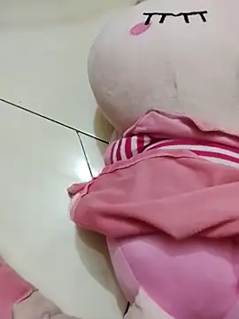 tinyk6 webcam