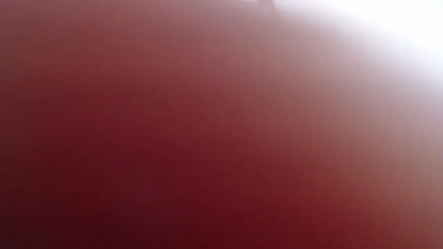 cristofferandcristall__ webcam