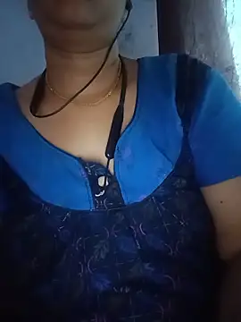 Hansikatelugu webcam