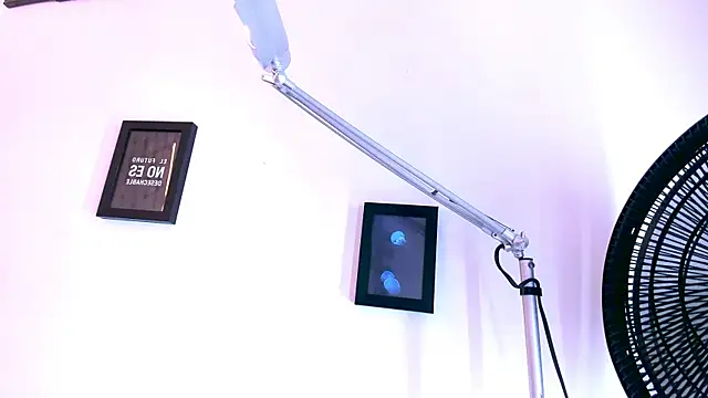Pit_Ross webcam