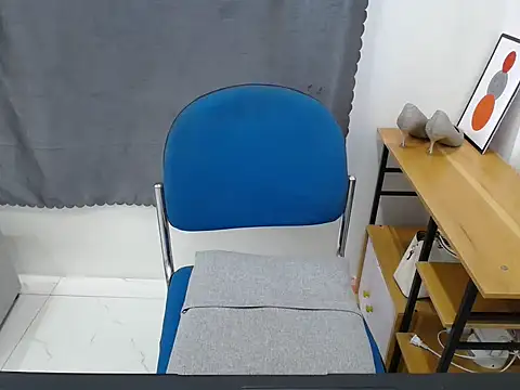___Mira___ webcam