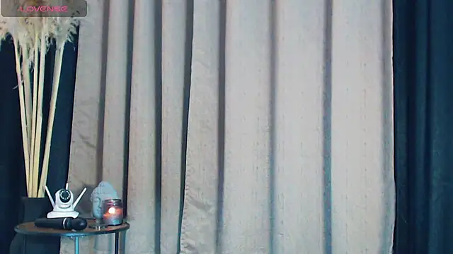 dark_sailent webcam