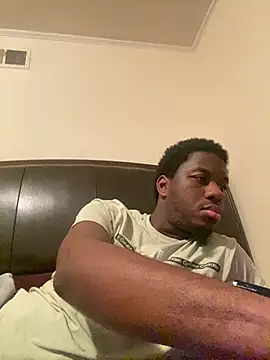 ThickDic28 webcam