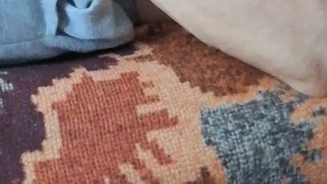 cumloverboyxx69 webcam