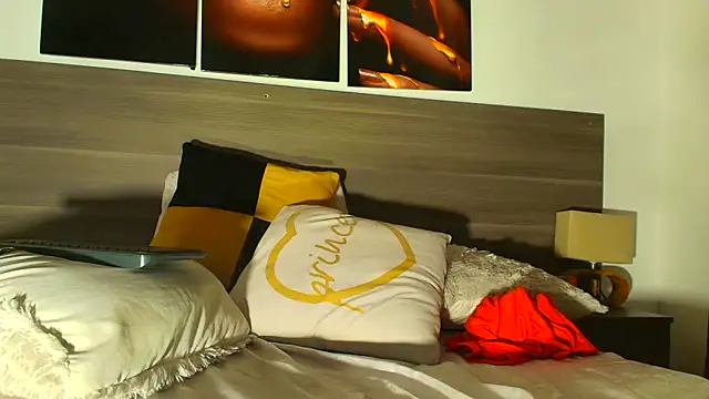 Mila_cams1_ webcam