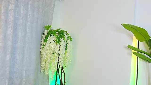 mesmer_haze webcam