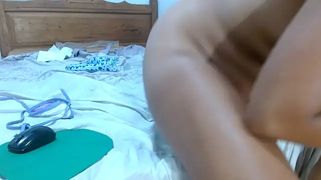 smallalyross webcam