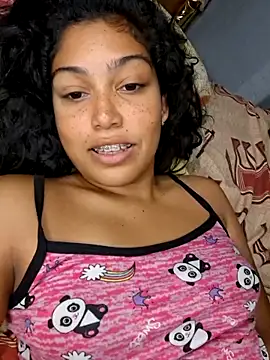 Putaalexa webcam