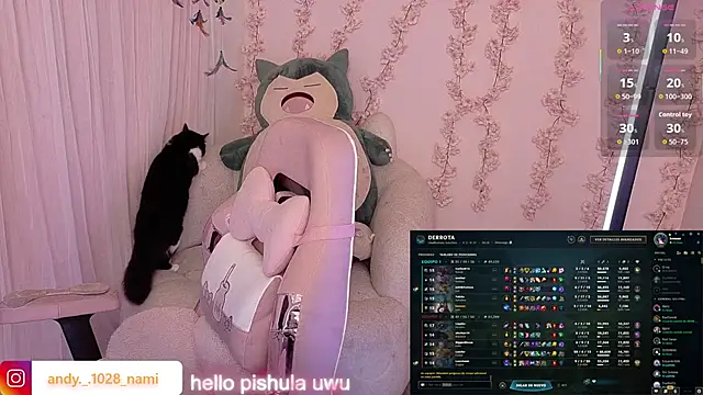 Nami_usagi webcam