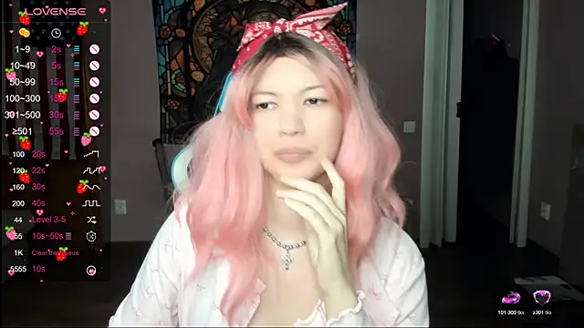 Project_hisoka webcam