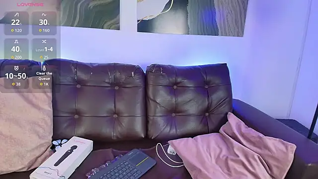 RAACHECK_ webcam