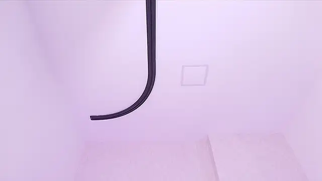 _carolina_fox webcam